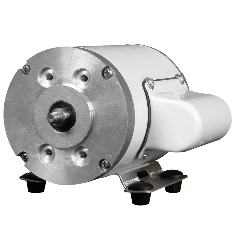 P1090 Pumptec 112V 300psi Pump Head and Motor